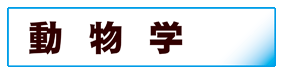 生物学:動物学