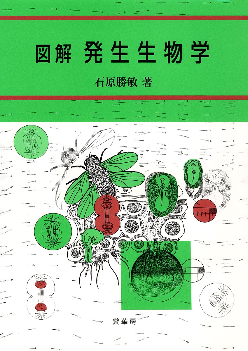 『図解 発生生物学』 カバー