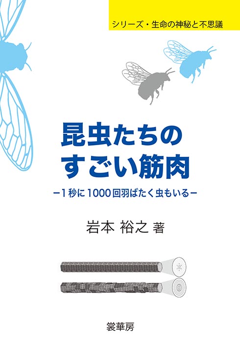 『昆虫たちのすごい筋肉』 カバー