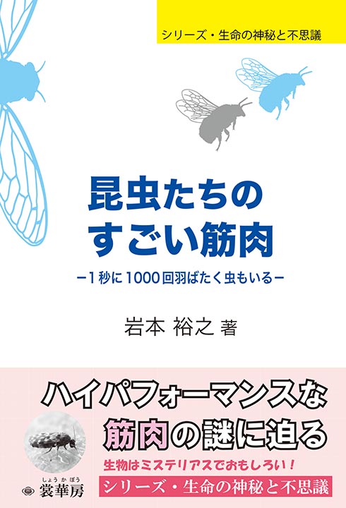 『昆虫たちのすごい筋肉』 カバー