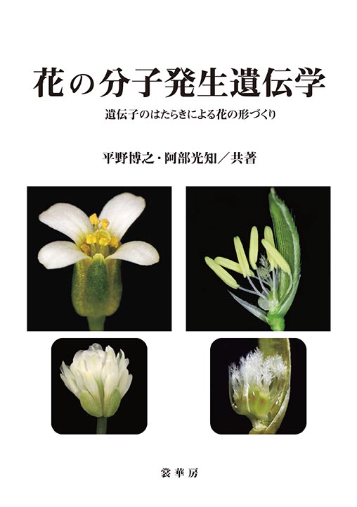 『花の分子発生遺伝学』 カバー
