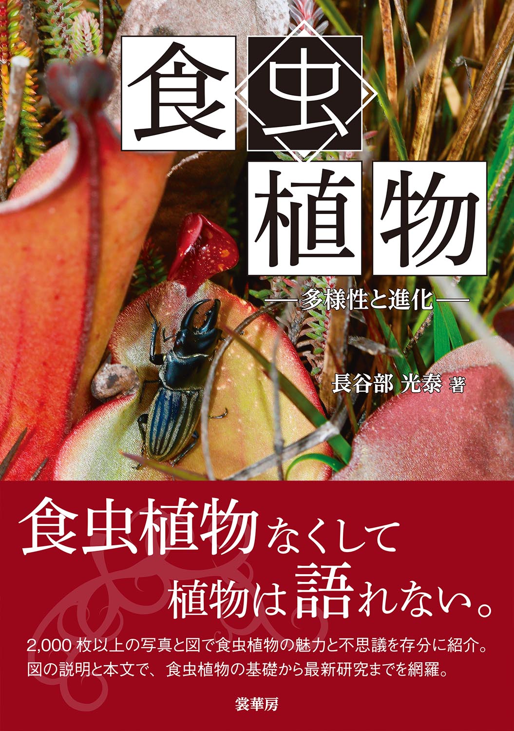 『食虫植物』 カバー