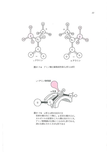 『スタンダード生化学』 内容見本