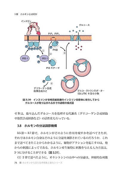 『比較内分泌学入門』 内容見本
