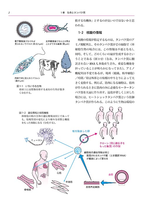 『医薬系のための 生物学』 内容見本