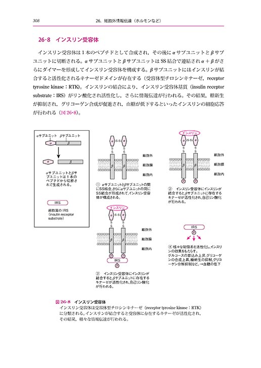 『医学系のための 生化学』 内容見本