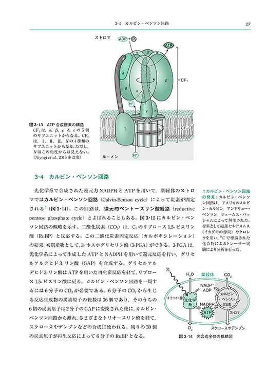 『植物生理学』 内容見本
