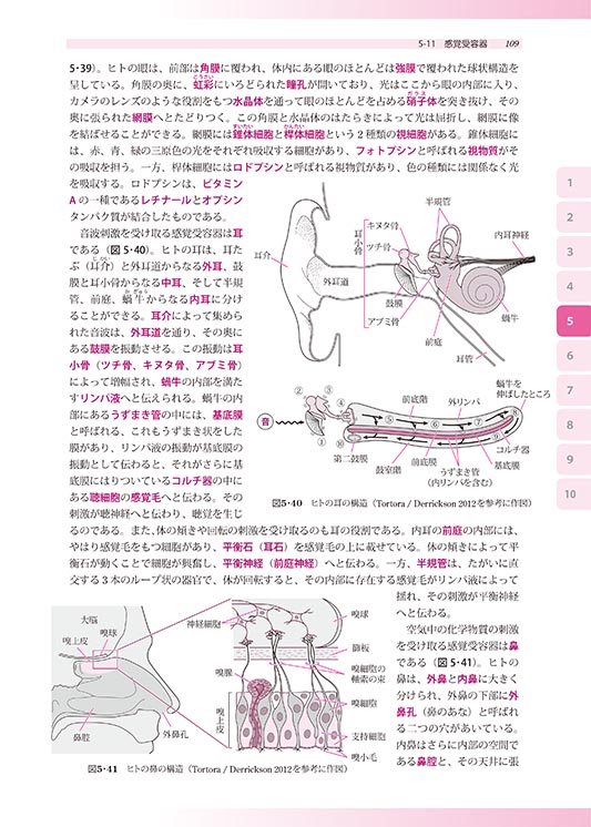 『ベーシック生物学(増補改訂版)』 内容見本