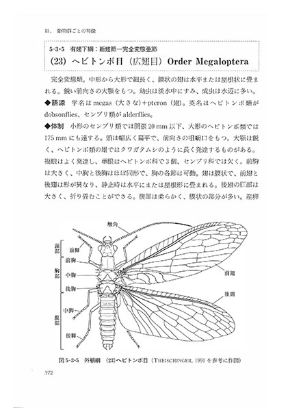 『節足動物の多様性と系統』 内容見本