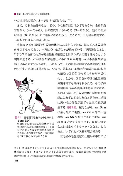 『エピジェネティクス』 内容見本