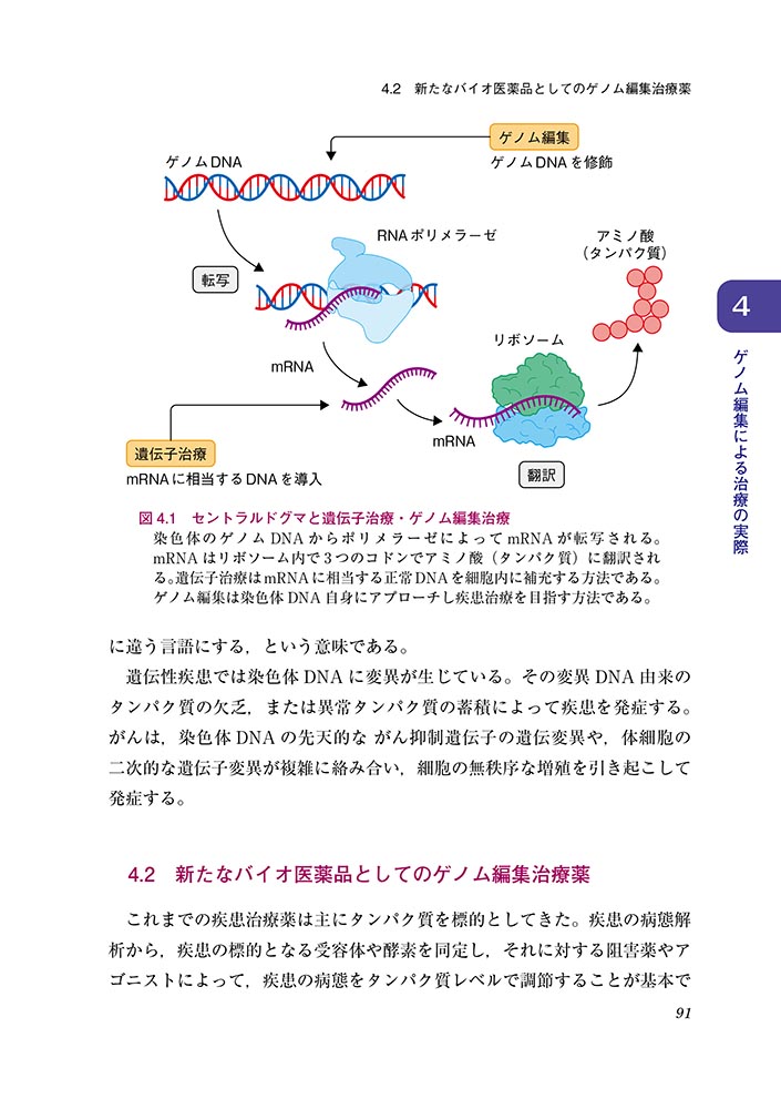 『ゲノム編集と医学・医療への応用』 内容見本