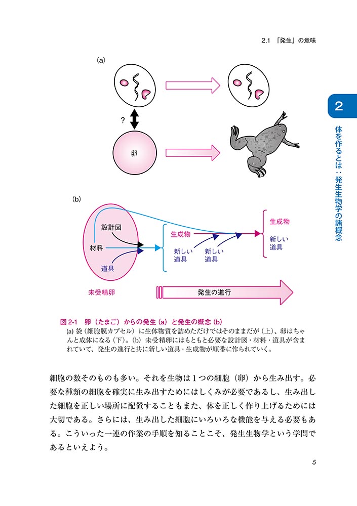 『発生生物学』 内容見本