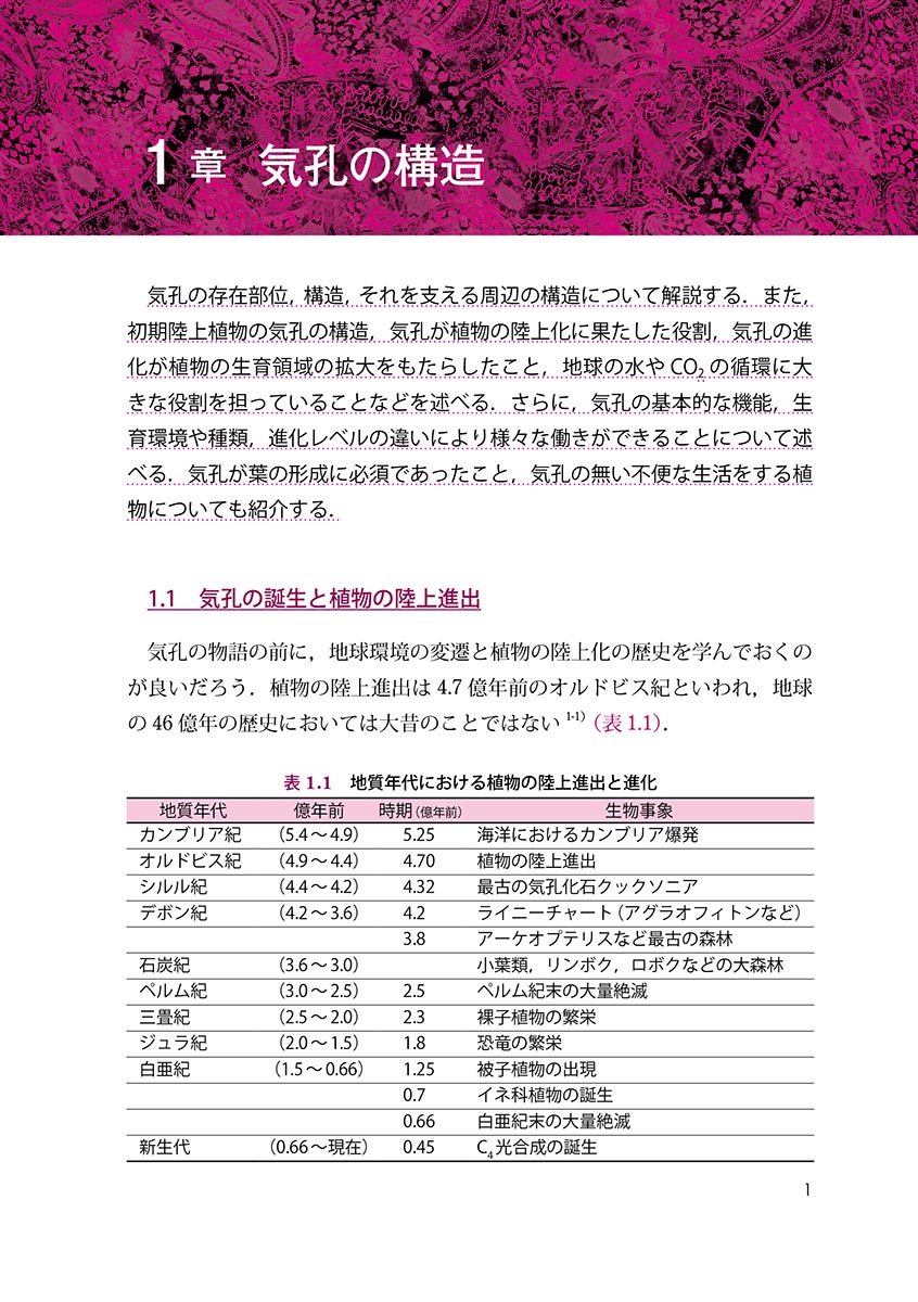 『気孔』 内容見本
